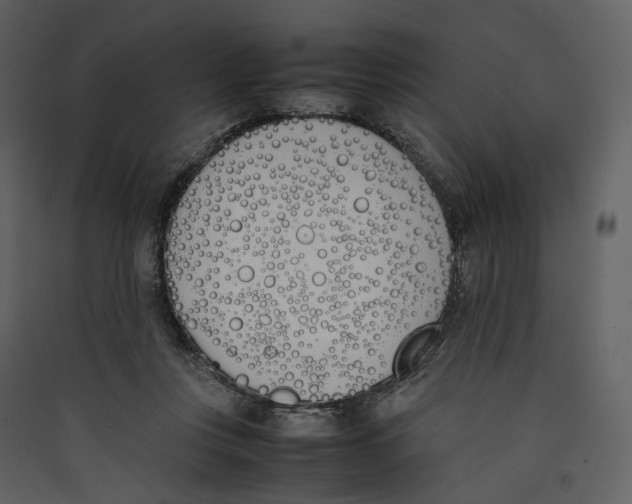 X0000089400359200707131744