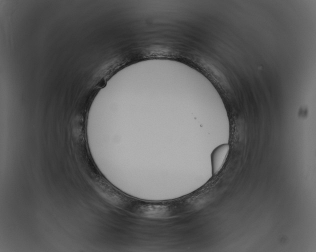 X0000089400361200707131744