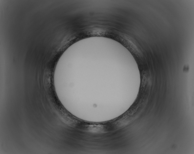 X0000089400363200707131744