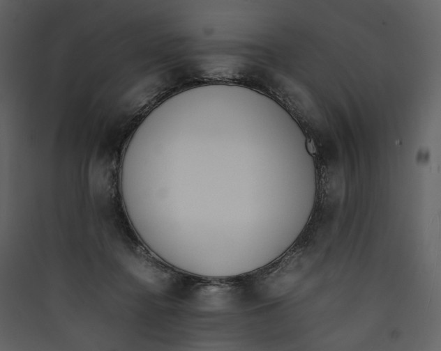 X0000089400364200707131744