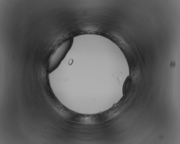 X0000089400365200707131745