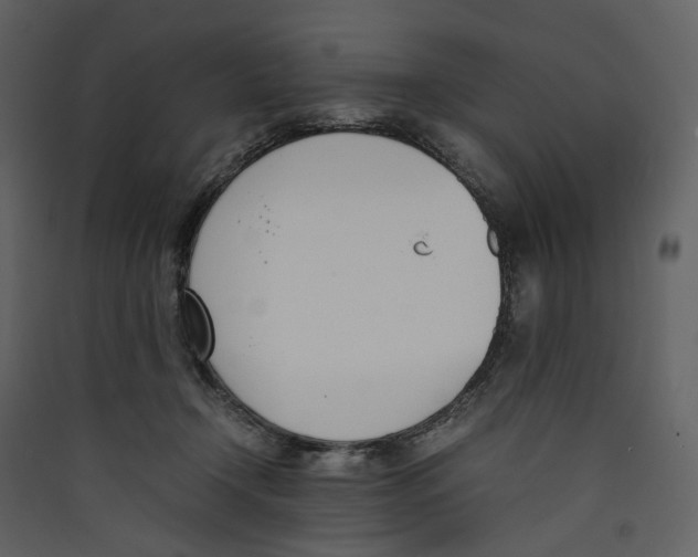 X0000089400366200707131745