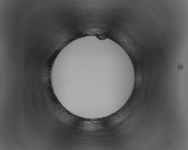X0000089400367200707131745