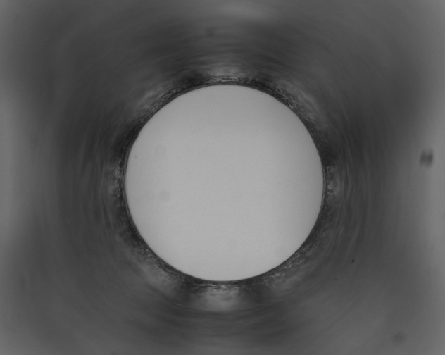 X0000089400369200707131745