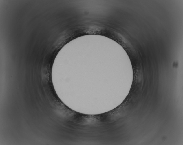 X0000089400370200707131745