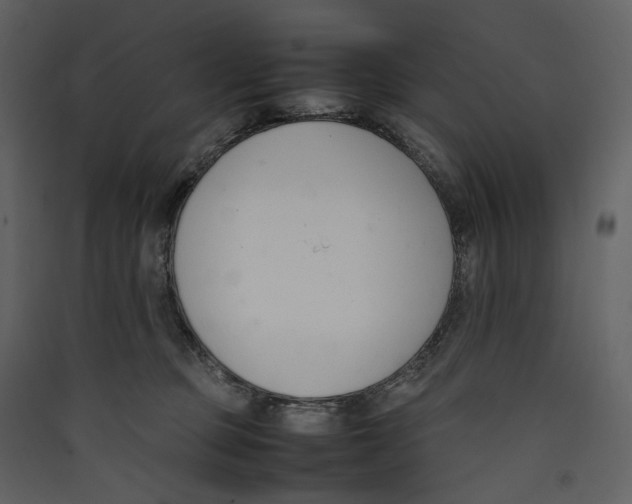 X0000089400373200707131745