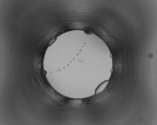 X0000089400374200707131745