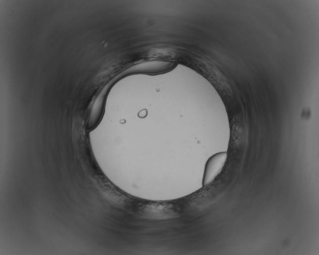 X0000089400375200707131745
