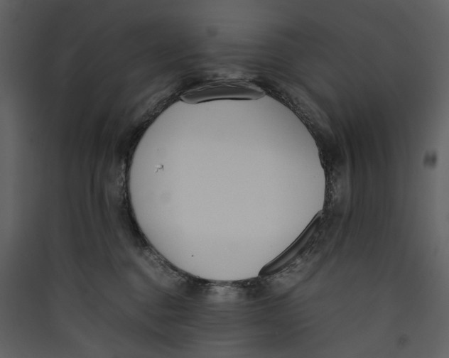 X0000089400376200707131745