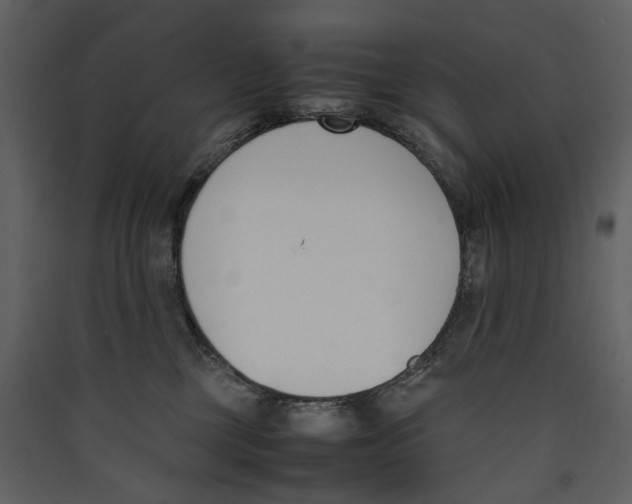 X0000089400377200707131745