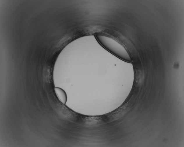 X0000089400378200707131745