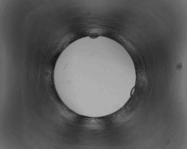 X0000089400379200707131745
