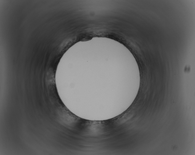 X0000089400384200707131745