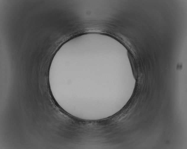 X0000089400385200707131744