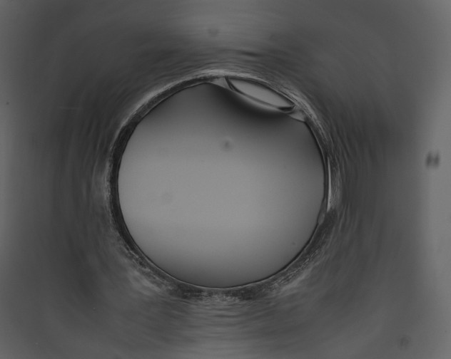 X0000089400387200707131744