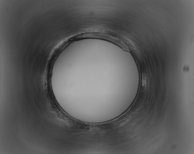X0000089400388200707131744