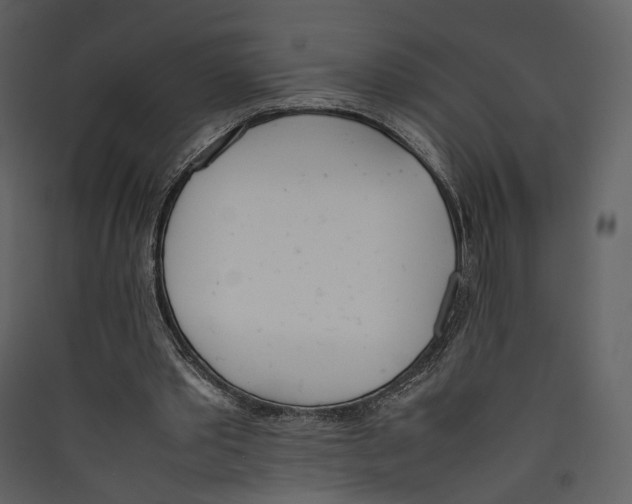 X0000089400389200707131744