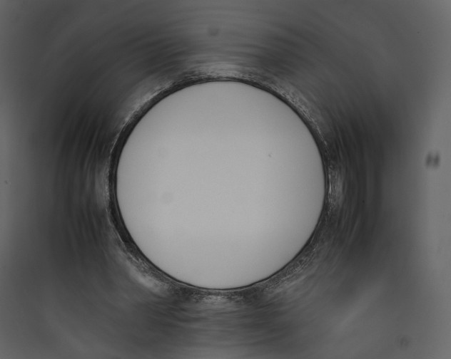 X0000089400390200707131744