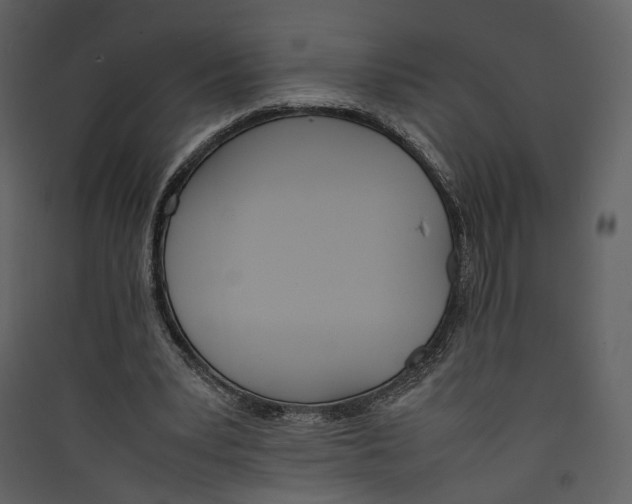 X0000089400391200707131744