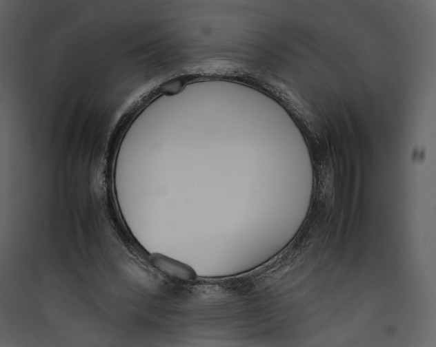 X0000089400392200707131744