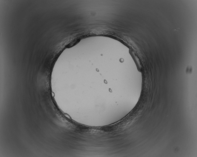X0000089400393200707131744