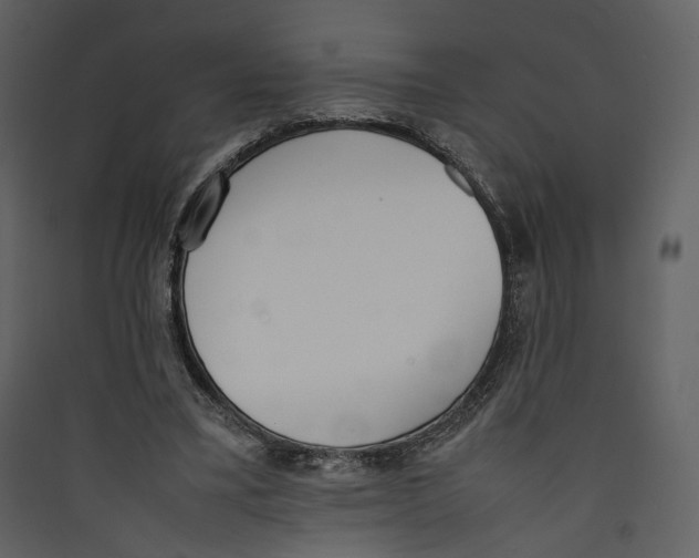 X0000089400395200707131744