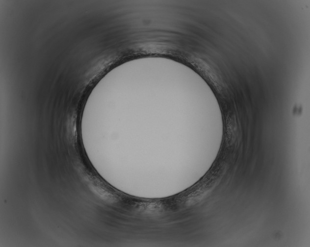 X0000089400398200707131744