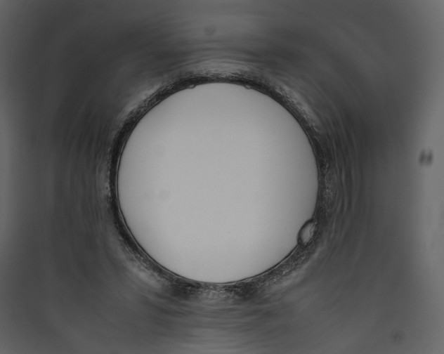 X0000089400399200707131744