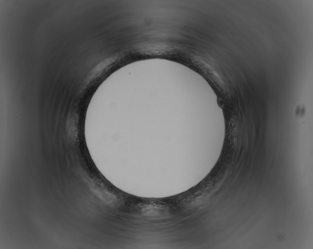 X0000089400400200707131744