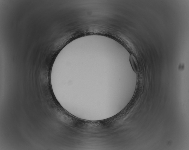 X0000089400401200707131744