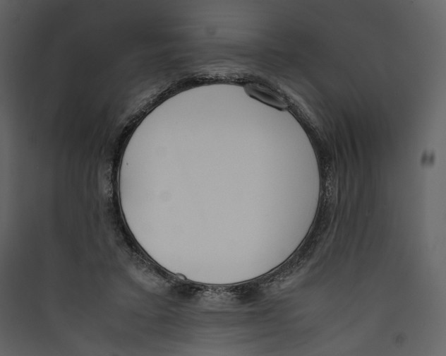 X0000089400403200707131744