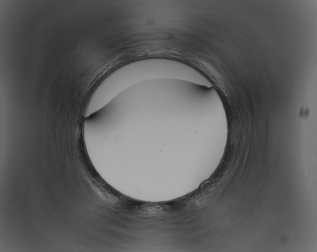 X0000089400405200707131744