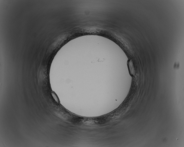 X0000089400407200707131744