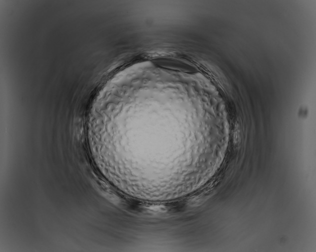 X0000089400409200707131744