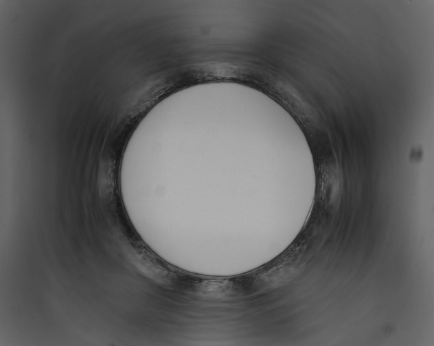 X0000089400410200707131744