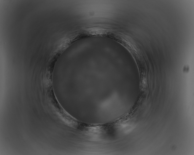 X0000089400411200707131744