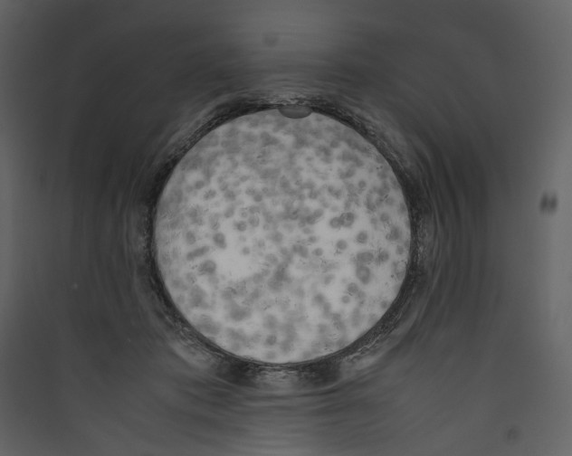 X0000089400413200707131744