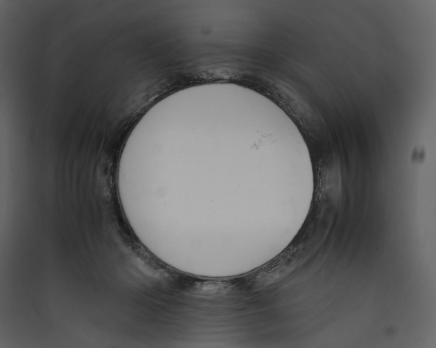 X0000089400414200707131744