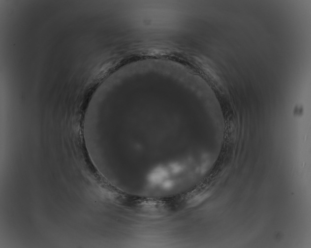 X0000089400415200707131744