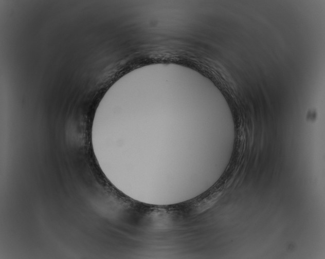 X0000089400416200707131744