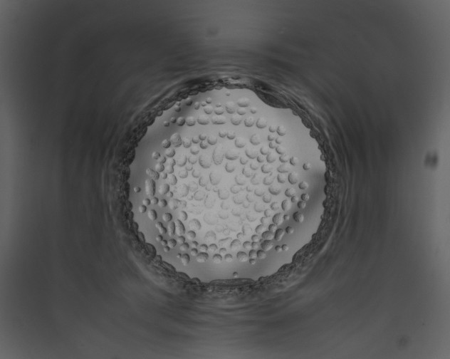 X0000089400417200707131744