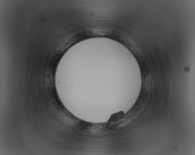 X0000089400418200707131744