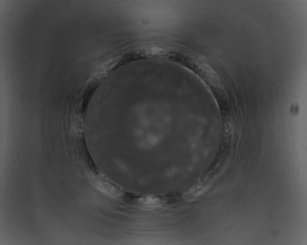 X0000089400419200707131744