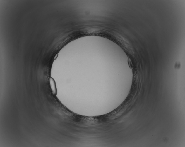 X0000089400421200707131744