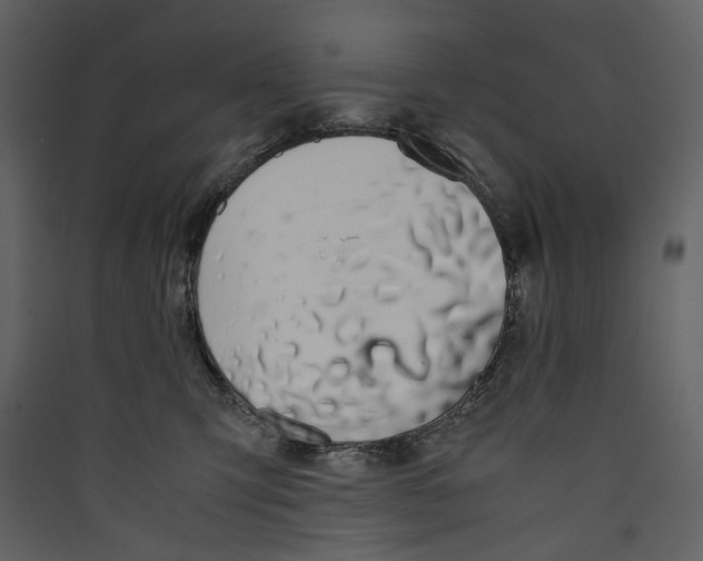 X0000089400423200707131744