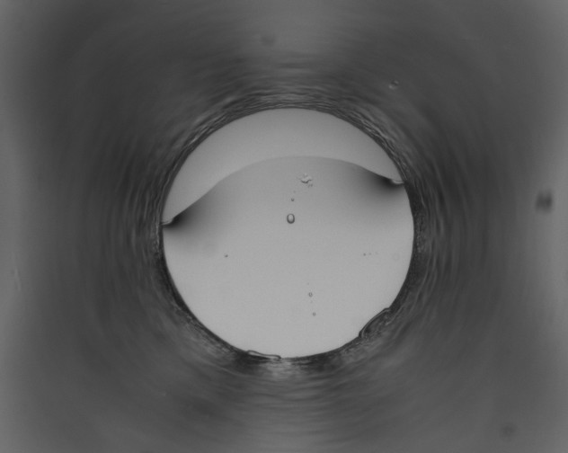 X0000089400425200707131744