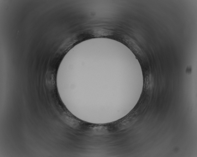 X0000089400426200707131744