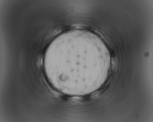 X0000089400427200707131744
