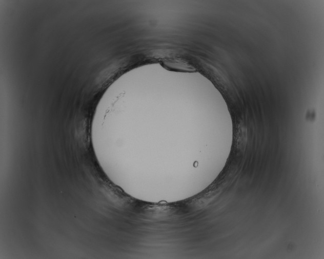 X0000089400428200707131744