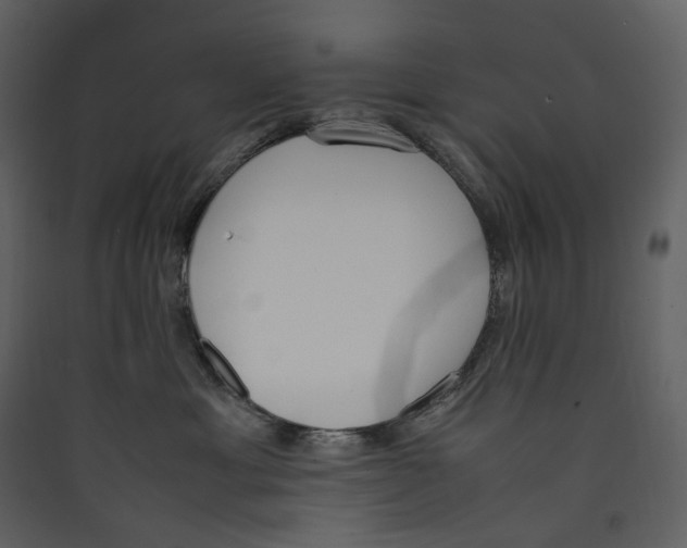 X0000089400429200707131744
